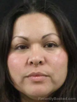 Mugshot of JULISSA SEGOVIA