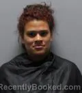 Mugshot of Keisha Nicole Gantt booked in Pickens County, South Carolina on August 13, 2026