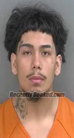 Booking photo from Collier County, Florida