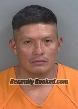 Booking photo from Collier County, Florida