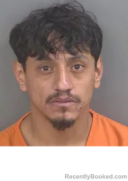 Mugshot of FERMIN HERRERAHERNANDEZ