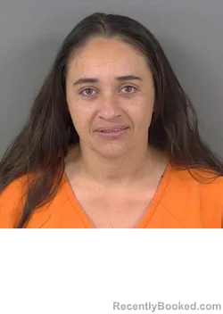 Booking photo from Collier County, Florida