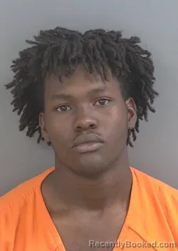 Booking photo from Collier County, Florida