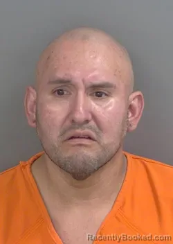 Mugshot of JONATHAN TORREL