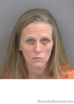 Mugshot of HEIDI MARIE LANE