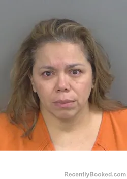 Mugshot of BELKIS SUAREZ