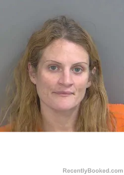 Mugshot of JANEL DAPRA