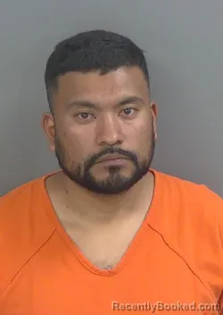 Mugshot of HECTOR ENRIQUE FRIASMENDOZA