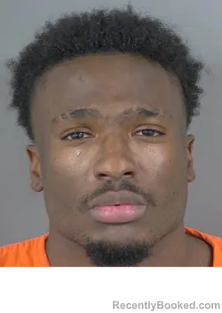 Booking photo from Collier County, Florida