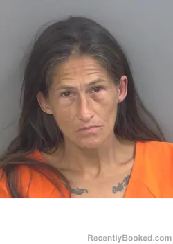 Mugshot of GRACIELA C REYES
