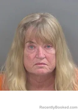 Mugshot of KIMBERLY IACCINO LOWE