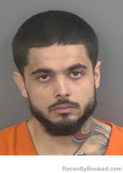 Mugshot of LAZARO DEJESUS FERREIRO