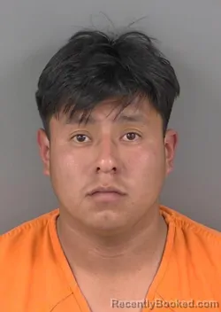 Mugshot of BILLY EMERSON