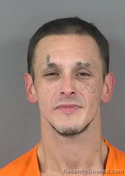 Mugshot of RAFAEL FIGUEROA