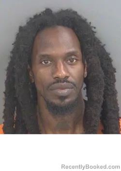 Mugshot of BROWN DEMOSTHENES