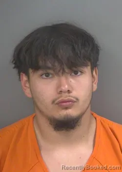 Mugshot of LUIS DAVID RIOS-MARTINEZ
