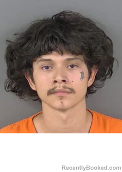 Mugshot of HECTOR JAVIER MANCHA