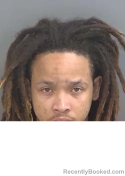 Mugshot of DAMIEN WATKINS