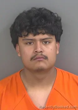 Mugshot of BRYAN CRECENCIO VELAZQUEZSOTO