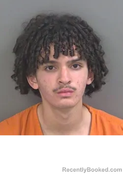 Mugshot of JANIEL PEREYRAORTIZ