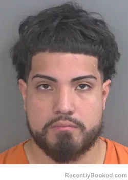 Mugshot of ERIC DENILSON CARCAMO
