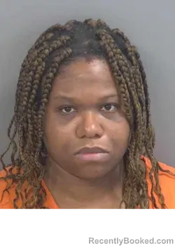 Mugshot of KIMBERLY BRIZARD