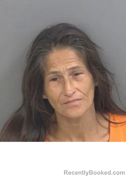 Mugshot of GRACIELA C REYES