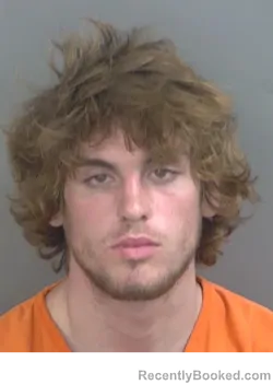 Mugshot of MICHAEL JOHN LINCOLN