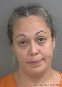 Mugshot of LEEANABETH MERCADO