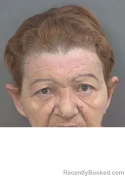 Mugshot of VIRGEN PARADA