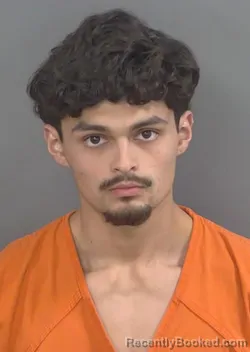 Mugshot of JOSE BERNARD PALOMINO