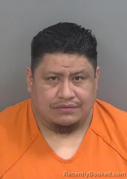 Mugshot of MATIO MIGUEL LOPEZ