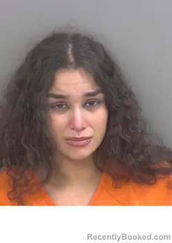 Mugshot of SUSANA PUENTESDELGADO