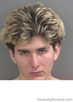 Mugshot of YANDALI CERRILLOPANTYUSHINA