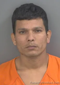 Mugshot of ADNNIER MARTINEZ-ALBORNOZ