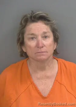 Mugshot of CHRISTINE E STEADMAN