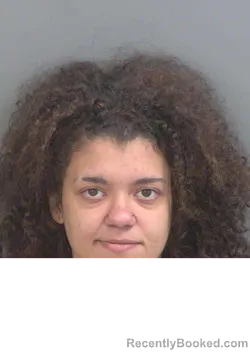 Mugshot of DANIELA CUELLARFERNANDEZ