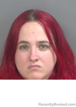 Mugshot of DAIMARIS RUIZLARROSA