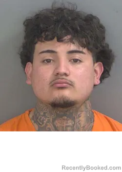 Mugshot of BRADLEY RAMIREZ