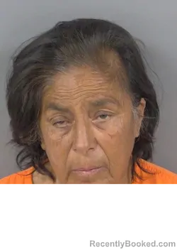 Mugshot of JESUSITA GAUDALUPE RODRIGUEZ booked in Collier County, Florida on March 6, 2026