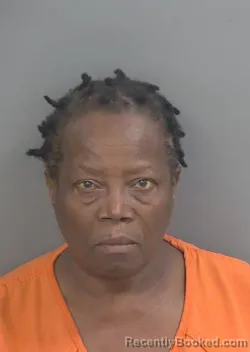 Mugshot of GABAINEWE KGANELA-TIRO booked in Collier County, Florida on March 6, 2026