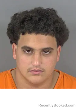 Mugshot of IDAVIER LUACES booked in Collier County, Florida on March 6, 2026