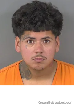 Mugshot of MIKLO ANTONIO CASTANEDA booked in Collier County, Florida on March 14, 2026