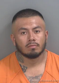 Mugshot of BLADIMIR ALBERTO LUCASGARCIA