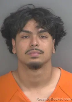 Mugshot of DANIEL MERCADORUBI