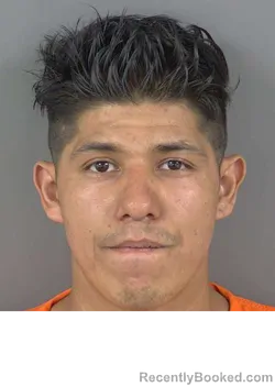 Mugshot of LUIS SANTOS