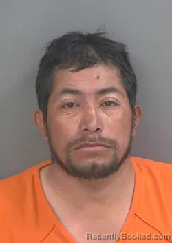 Mugshot of AVELLINO BARTELON booked in Collier County, Florida on March 16, 2026