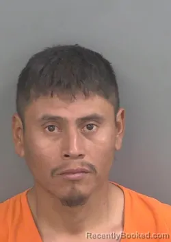 Mugshot of ALEX GIOVANI TOX-BUENAFE booked in Collier County, Florida on March 17, 2026