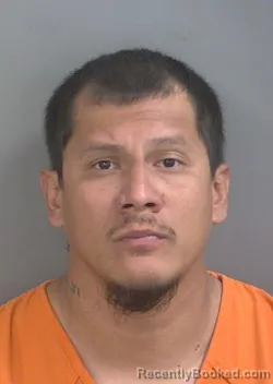 Mugshot of LUIS ENRIQUE AMBRIZ booked in Collier County, Florida on March 17, 2026