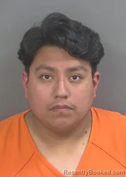 Mugshot of YAN CARLOS HERNANDEZANASTASIO booked in Collier County, Florida on March 17, 2026